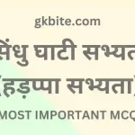 90+ सिंधु घाटी सभ्यता – Sindhu Ghati Sabhyata MCQ in Hindi sindhu ghati sabhyata mcq