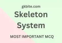 Skeleton System MCQ in Hindi -कंकाल तंत्र Objective Question skeleton system mcq in hindi